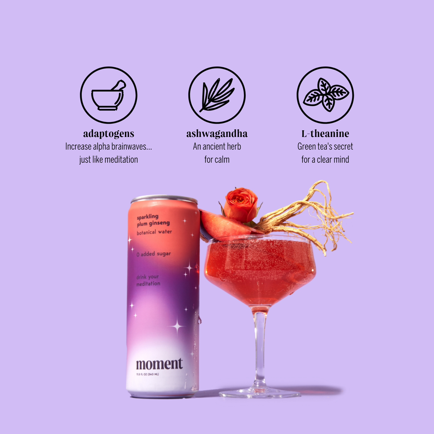 bestsellers (sparkling mocktail | 36 pack)