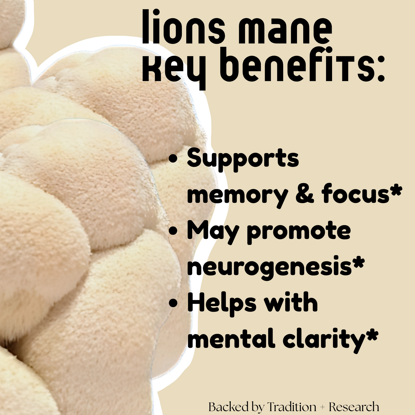 Lion’s Mane Mushroom Tincture