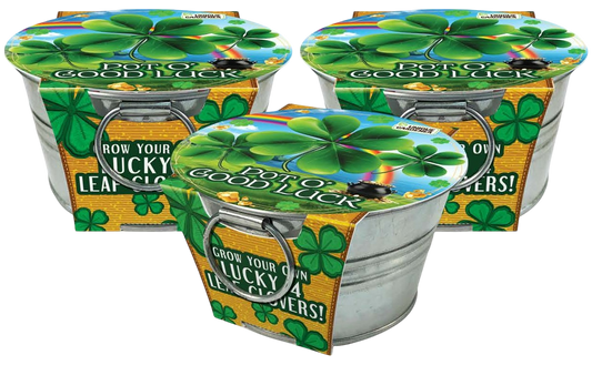 Pot O' Good Luck - Grow Your Own Shamrocks Multipack of 3