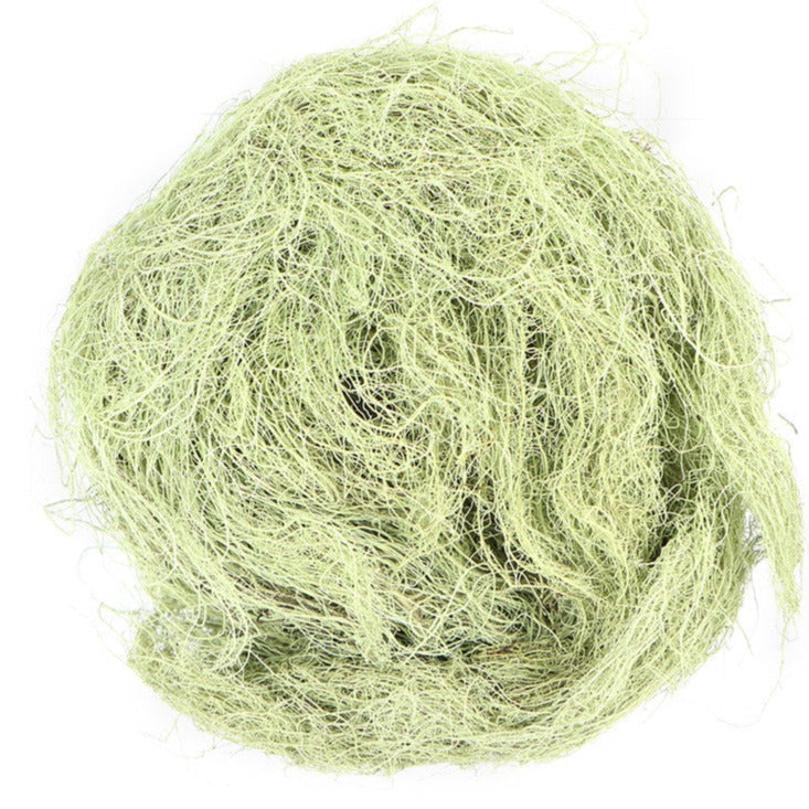 Usnea Lichen - Old man Beard - Wildcrafted