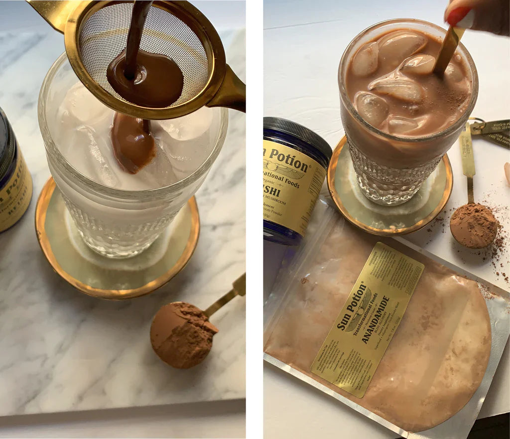 Reishi Mushroom Powder (Organic)