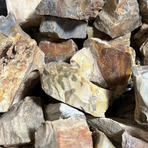 Petrified Wood Rough Stone