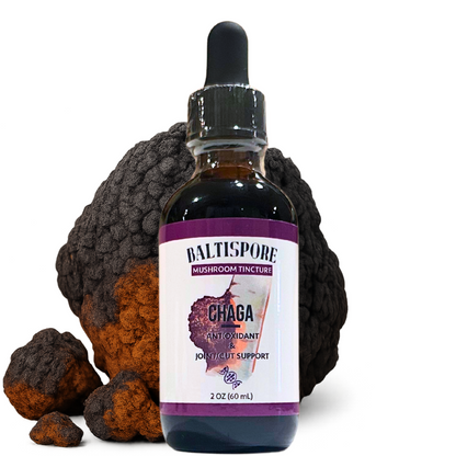 Chaga Mushroom Tincture
