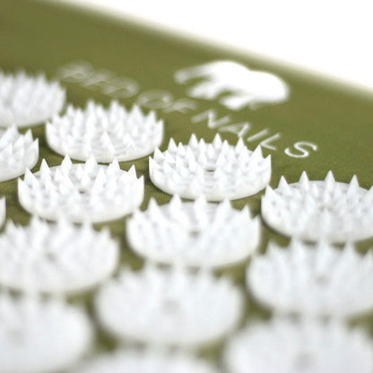 BON ACUPRESSURE BUNDLE - Green - 13,104 nails