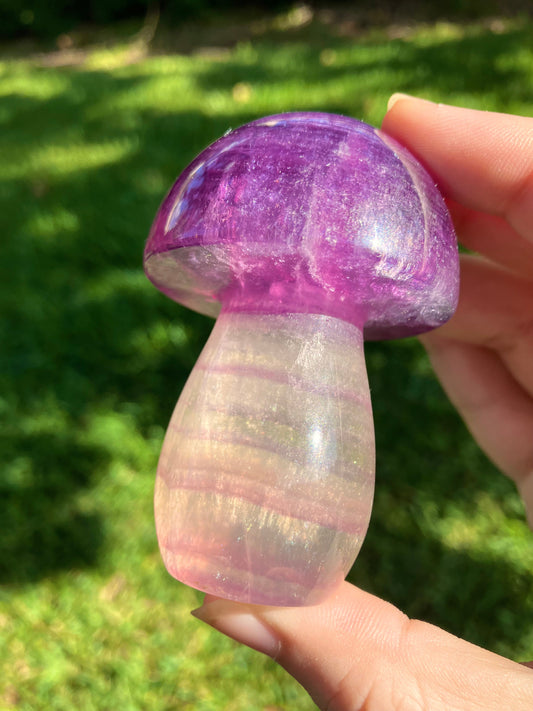 Fluorite Mushroom