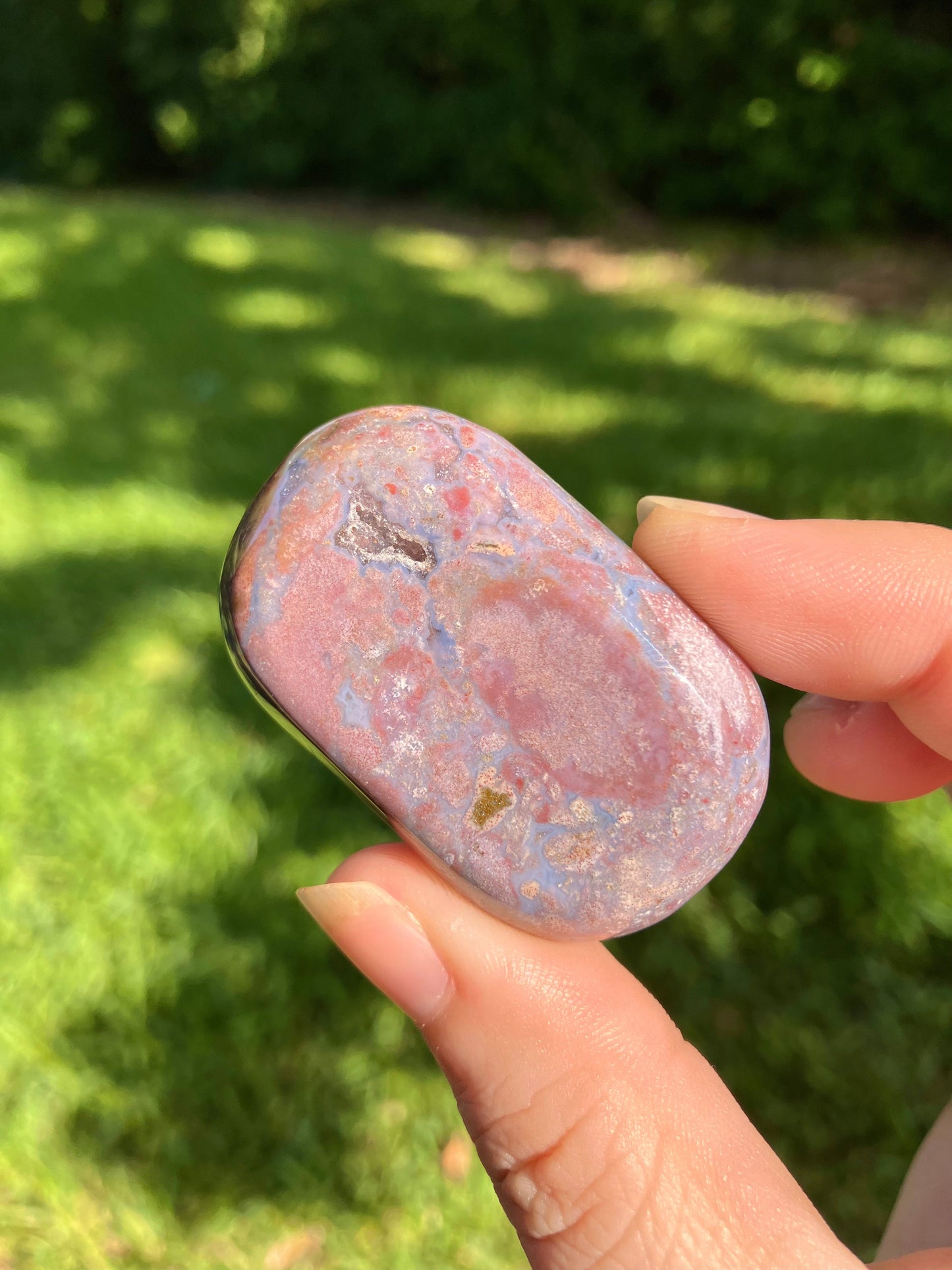 Ocean Jasper Mini Palm