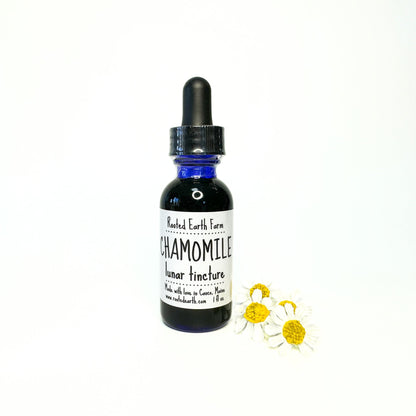 Chamomile Tincture