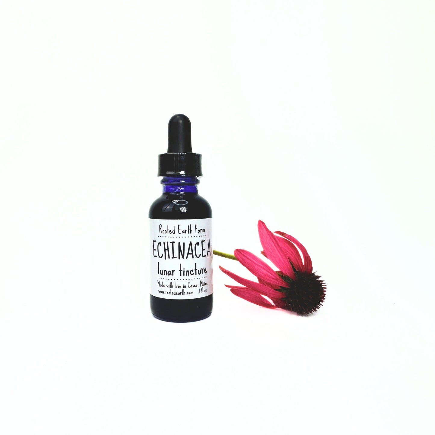 Echinacea Tincture