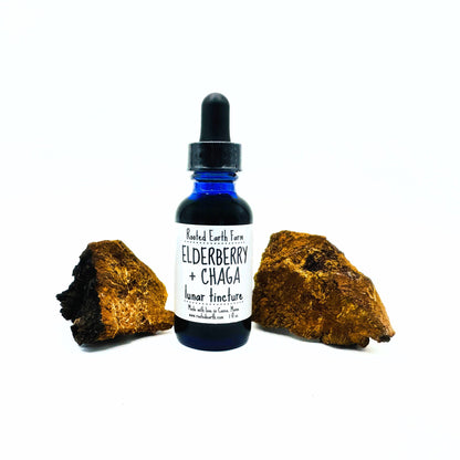 Elderberry and Chaga Tincture