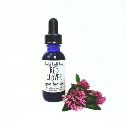 Red Clover Tincture