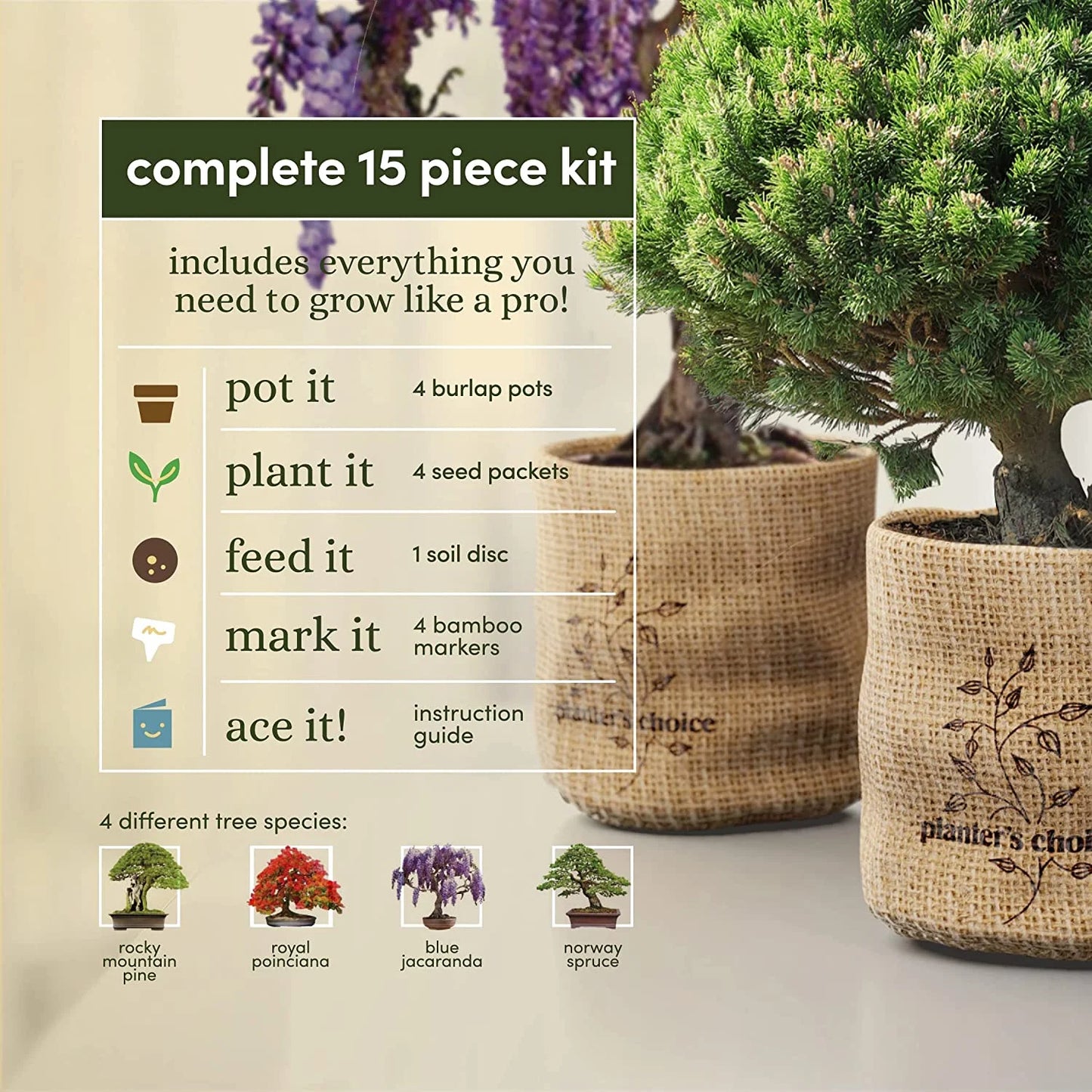 Bonsai Tree Plant Growing Kits with Seed-Safe Packets (4 Count)