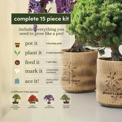 Bonsai Tree Plant Growing Kits with Seed-Safe Packets (4 Count)
