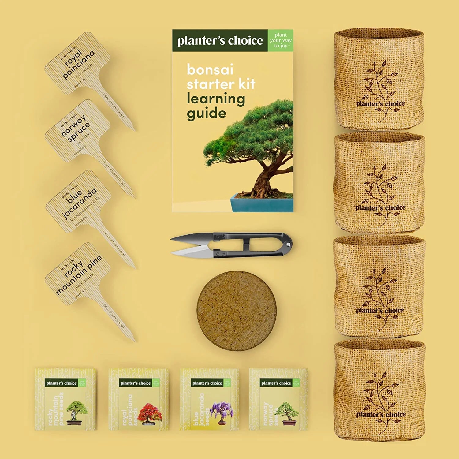 Bonsai Tree Plant Growing Kits with Seed-Safe Packets (4 Count)