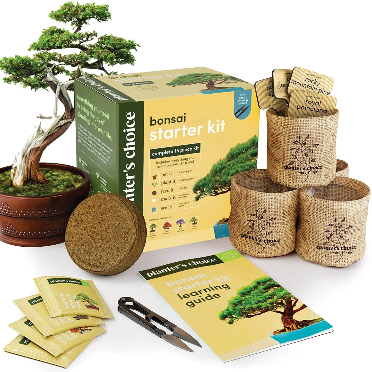 Bonsai Tree Plant Growing Kits with Seed-Safe Packets (4 Count)