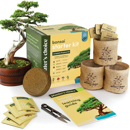 Bonsai Tree Plant Growing Kits with Seed-Safe Packets (4 Count)
