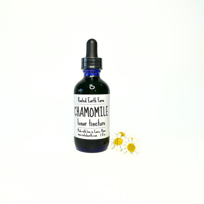 Chamomile Tincture