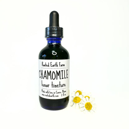 Chamomile Tincture