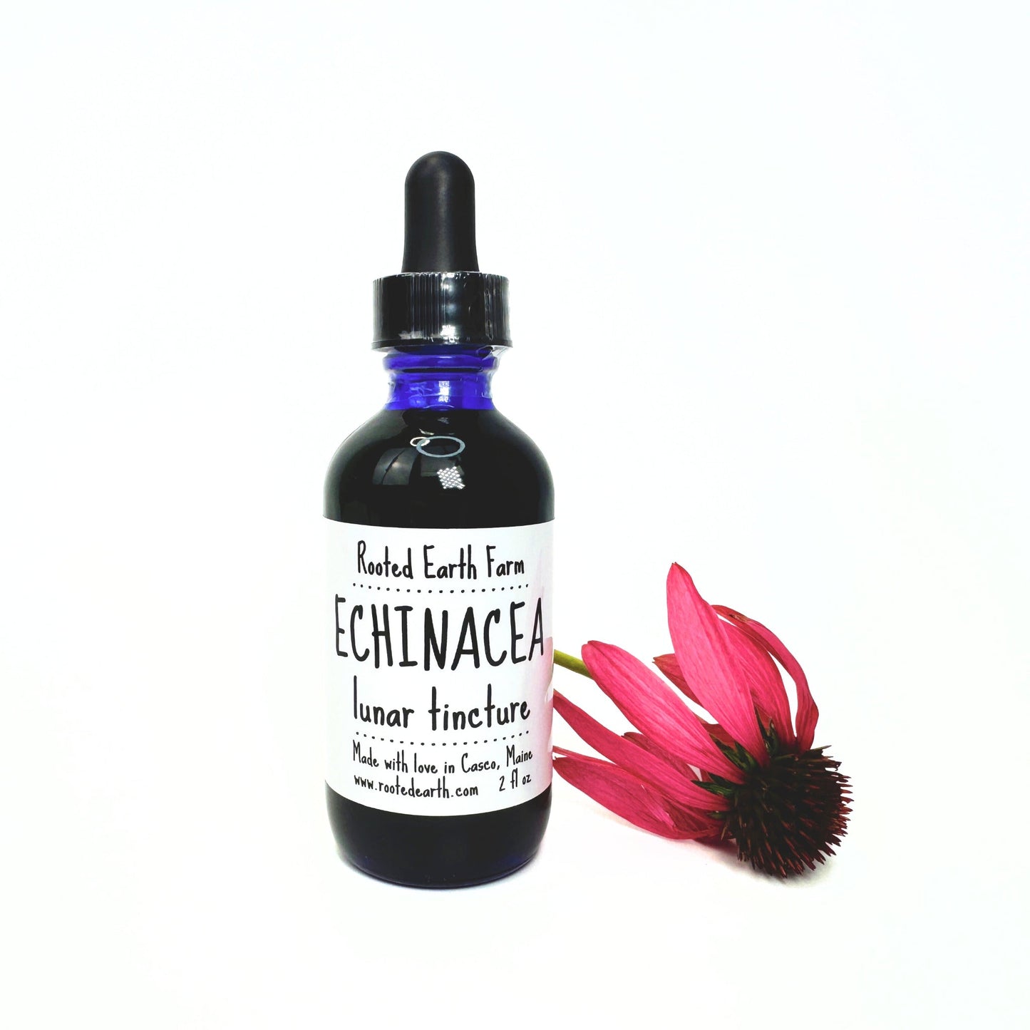 Echinacea Tincture