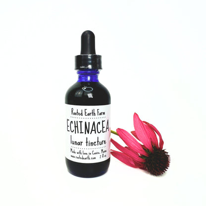 Echinacea Tincture