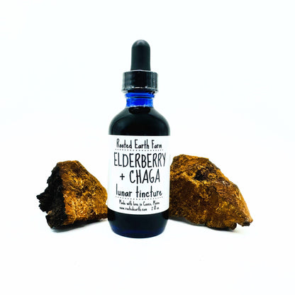 Elderberry and Chaga Tincture