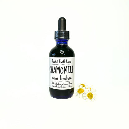 Chamomile Tincture