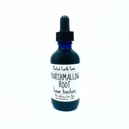 Marshmallow Root Tincture