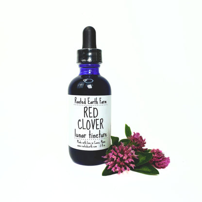 Red Clover Tincture