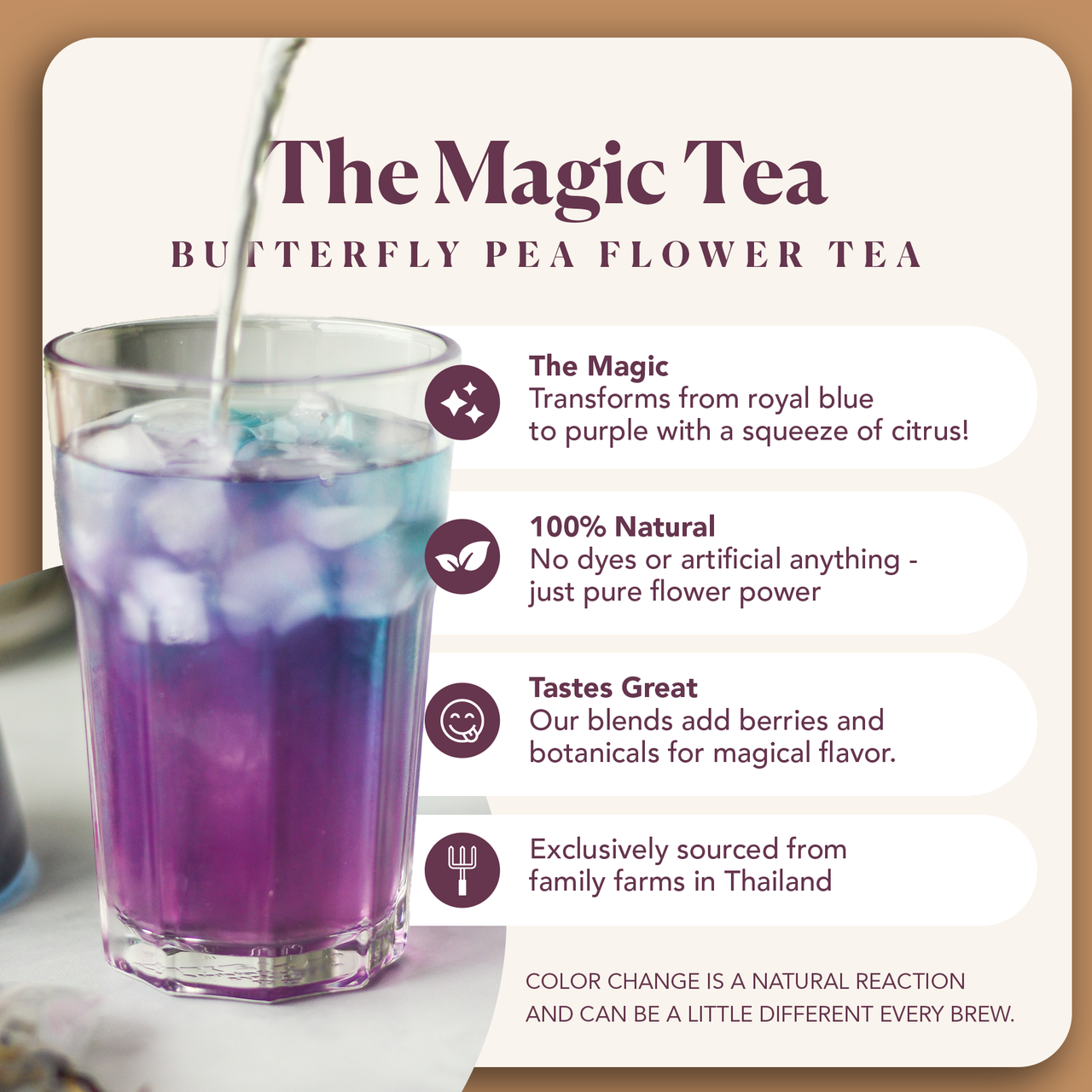 Butterfly Pea Flowers