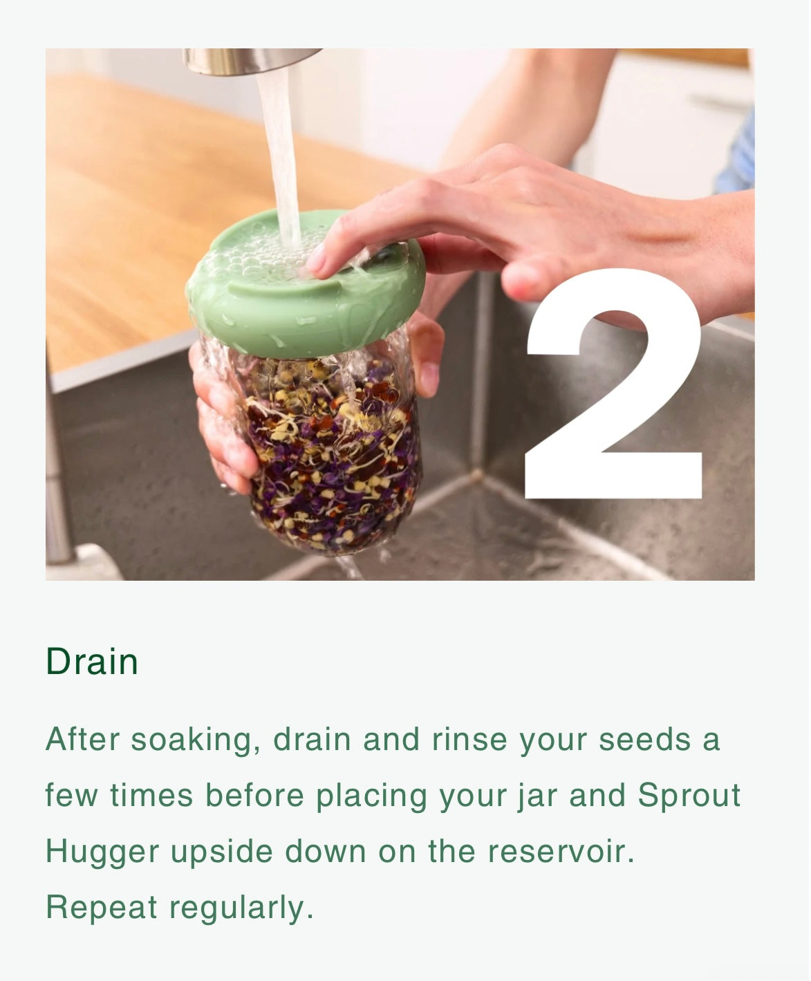 Food Huggers Micro Greens Kit