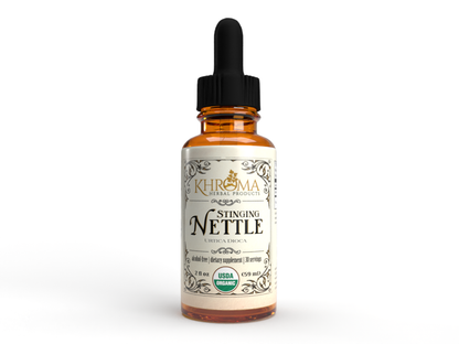 Stinging Nettle
