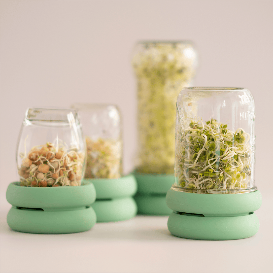 Food Huggers Micro Greens Kit