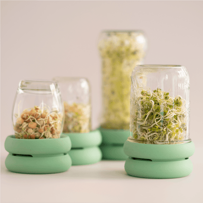 Food Huggers Micro Greens Kit