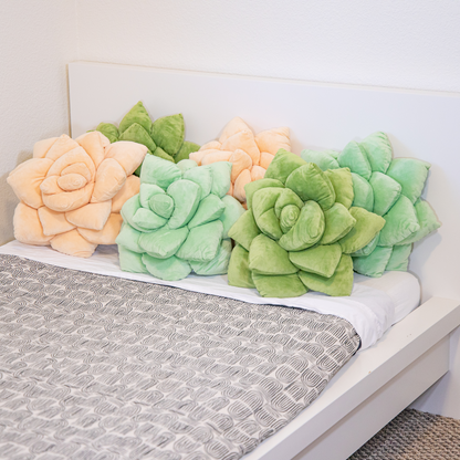 Lil' Pop Succulent®  - Olive Green