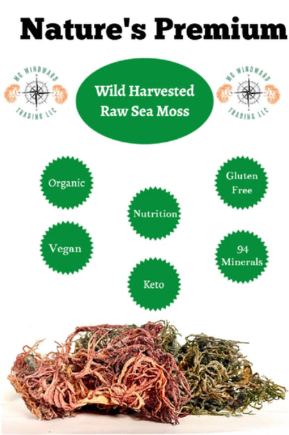 Wild Harvested Purple Certified Raw Sea Moss