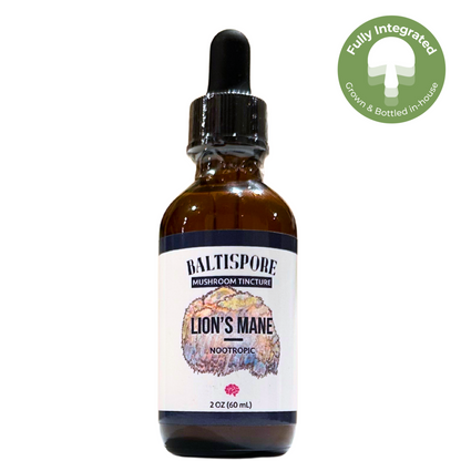 Lion’s Mane Mushroom Tincture