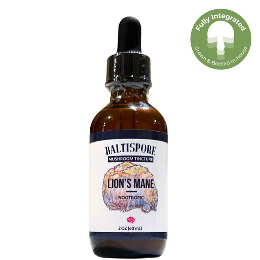 Lion’s Mane Mushroom Tincture