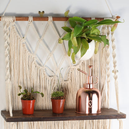 Carnivorous Carnival Plant Bundle