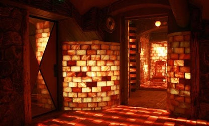 9" x 18" x 2" Himalayan Salt Sauna Brick