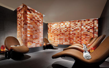 9" x 18" x 2" Himalayan Salt Sauna Brick