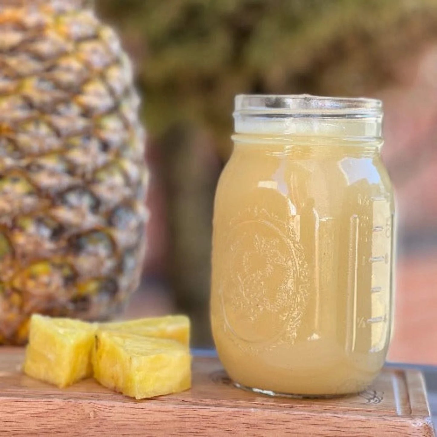 Flavored Sea Moss Gel- Alkaline Pineapple Sea Moss Smoothie