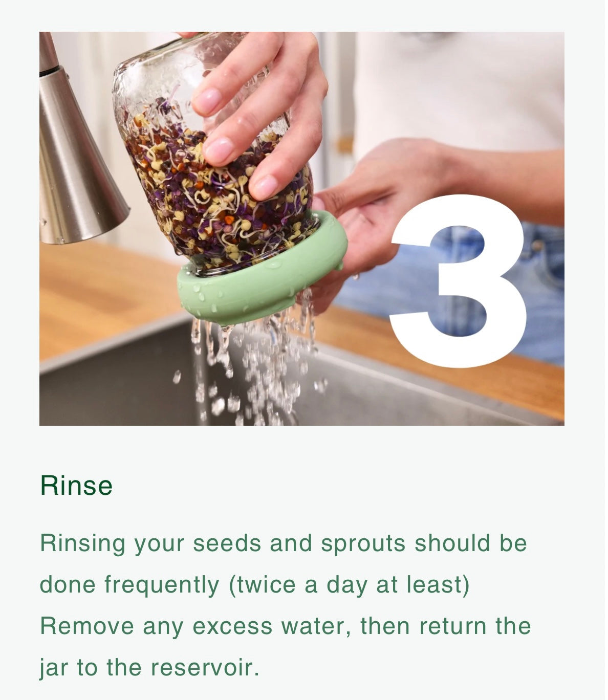 Food Huggers Micro Greens Kit