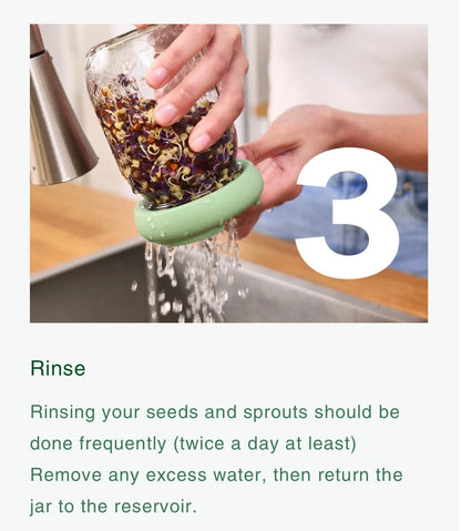 Food Huggers Micro Greens Kit