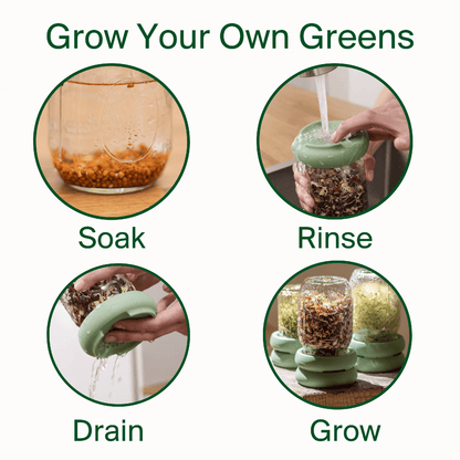 Food Huggers Micro Greens Kit