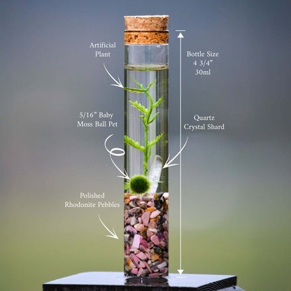 The Angie Hope & Healing Terrarium