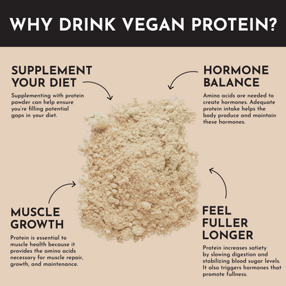 Vegan Snickerdoodle Protein Powder