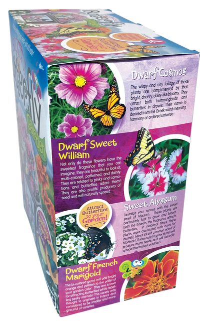 Bountiful Butterfly Garden Biosphere Terrarium