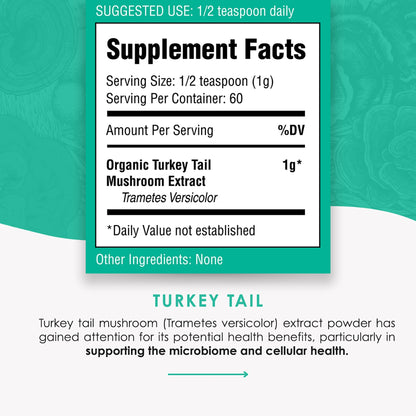 Turkey Tail Mushroom Extract Powder