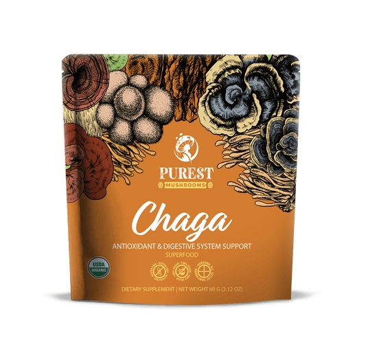 Chaga Mushroom Extract Powder