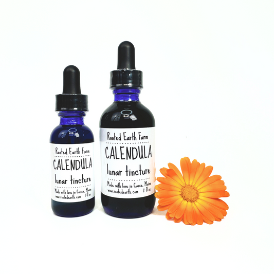 Calendula Tincture