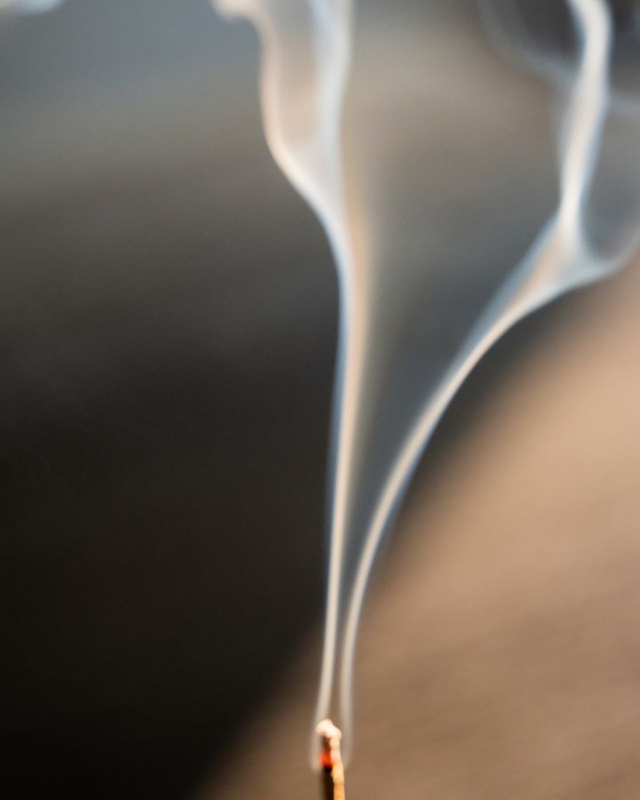 White Sage Campfire Incense (20 Sticks)